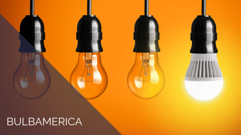 Bulb America lightbulbs case study